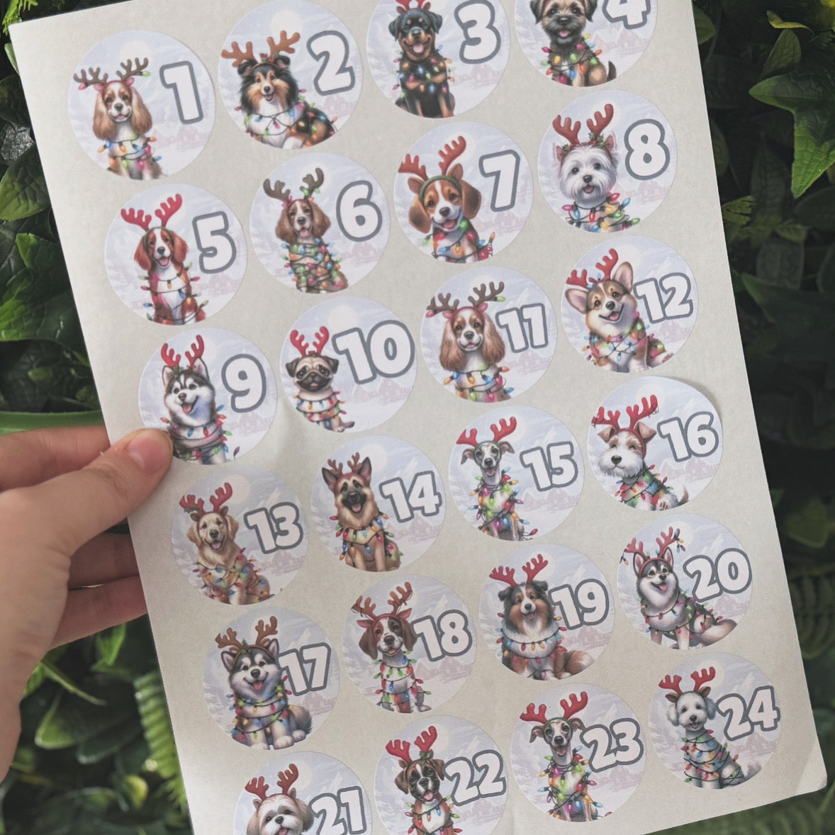 Dog Theme Advent Stickers